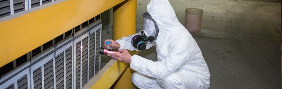 Asbestos Removal Perth 